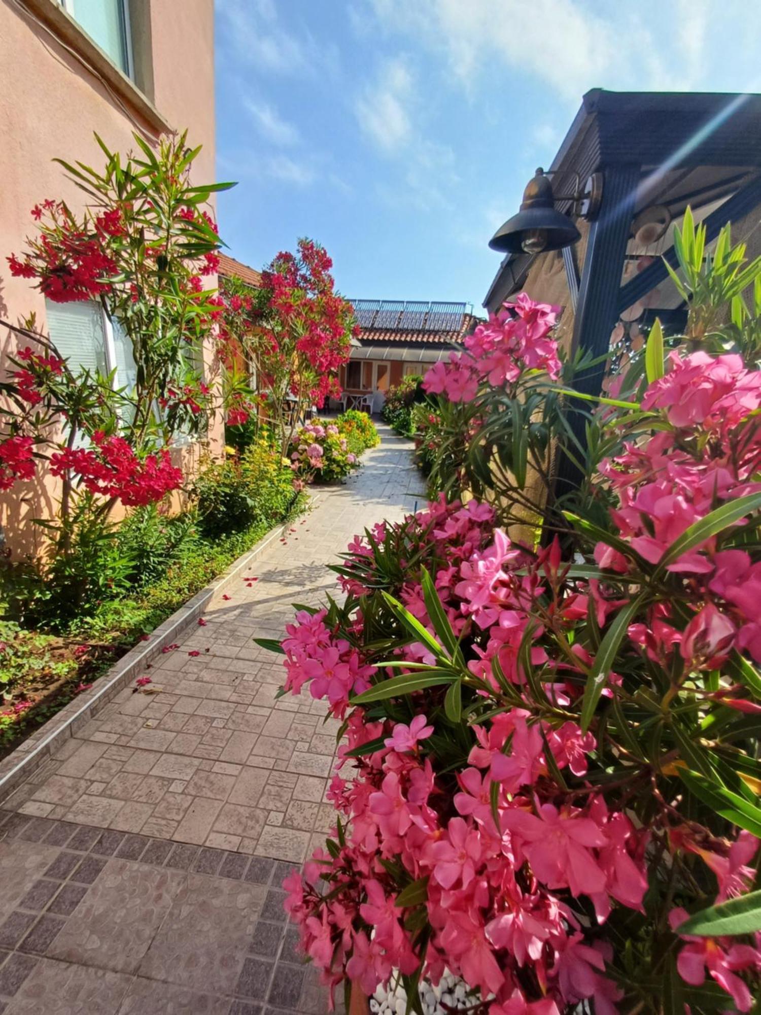 Hotel Dom Zaharievi Byala  Exterior foto